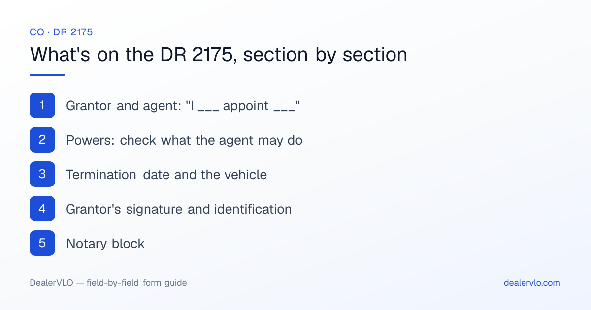 What's on the Colorado DR 2175, section by section: Grantor and agent: "I ___ appoint ___"; Powers: check what the agent may do; Termination date and the vehicle.